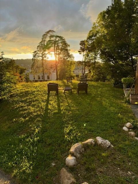 La Ferme des Arêtes La Chaux De Fonds Exterior foto